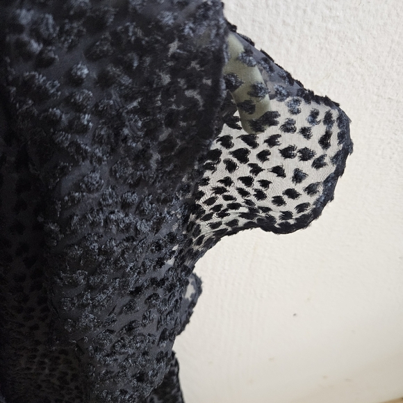 Robert Rodriguez Pauline Burnout Velvet Top Black Sheer Ruffled Sleeves size 4 - Picture 8 of 10